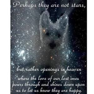 Meet your Posher, Jayne