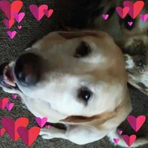 Meet your Posher, Denise