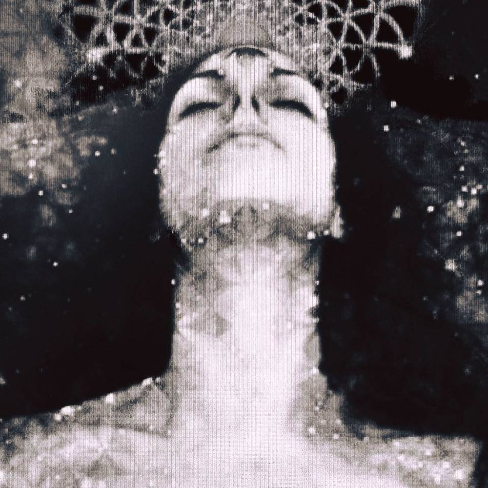 Meet your Posher, Abigail