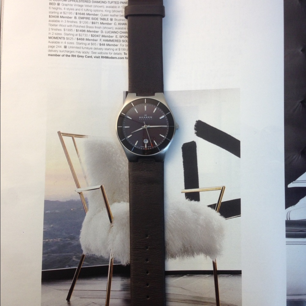 Skagen Denmark mens watch