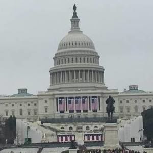 Meet your Posher, Rose