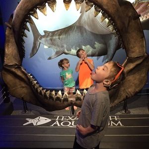 Meet your Posher, Kristen