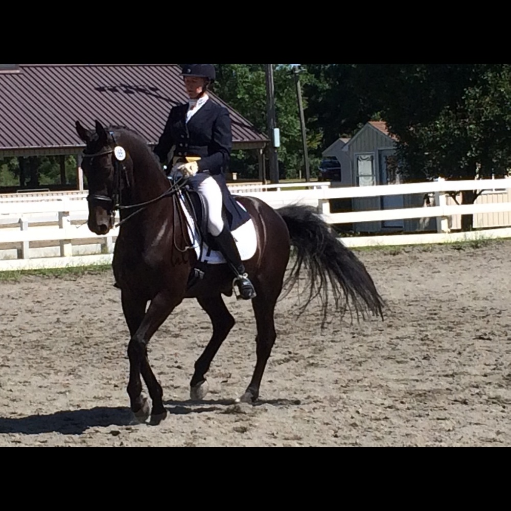 Meet your Posher, Polly