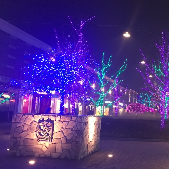 Meet your Posher, Neeru - Picture 1 of 1