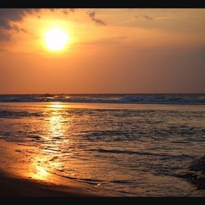 Meet your Posher, Cynthia