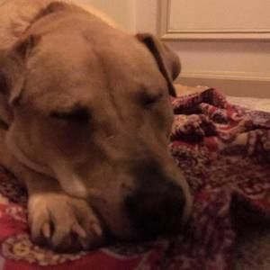 Meet your Posher, Cheyney