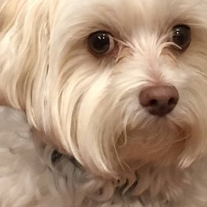 Meet your Posher, Debbie