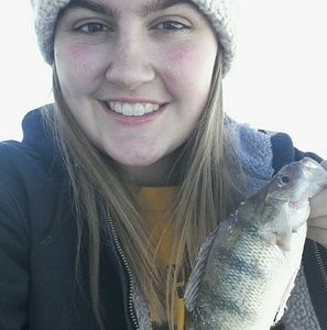 Meet your Posher, Isabel