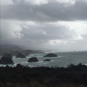 Meet your Posher, Annie