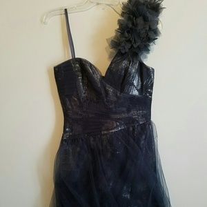 BCBG Ruffle Tulle One Shoulder dress