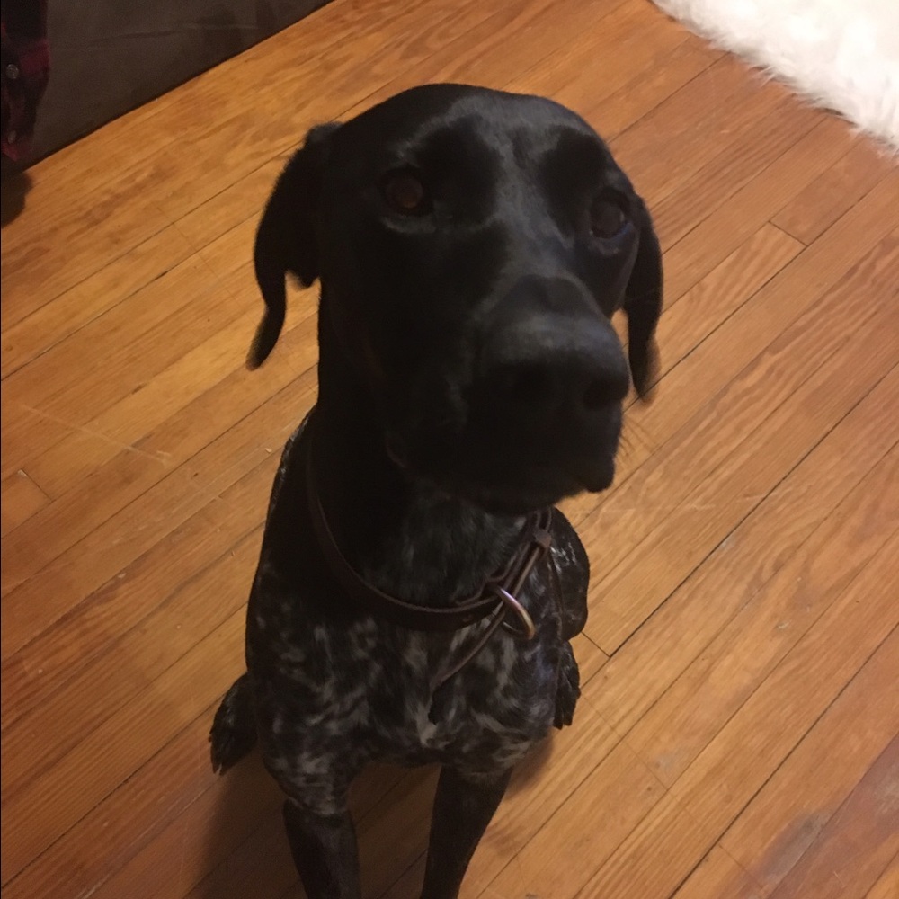 Meet your Posher, Brenna