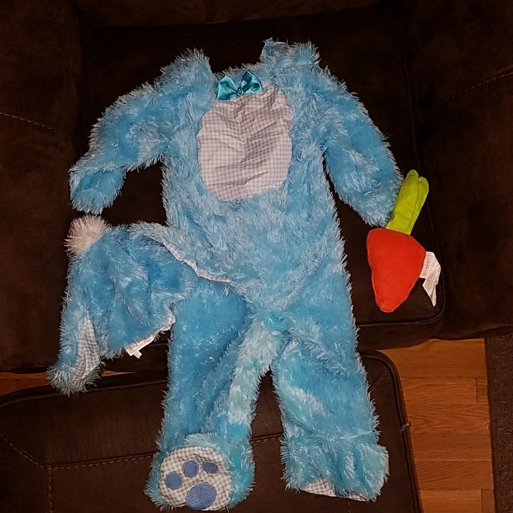 🐰🐰Easter🐰🐰 12 to 18 month blue bunny costume