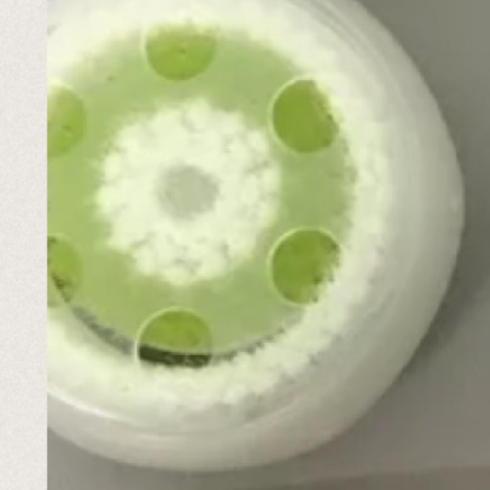 One Clarisonic Brush head