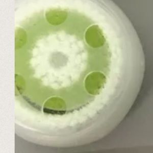 One Clarisonic Brush head