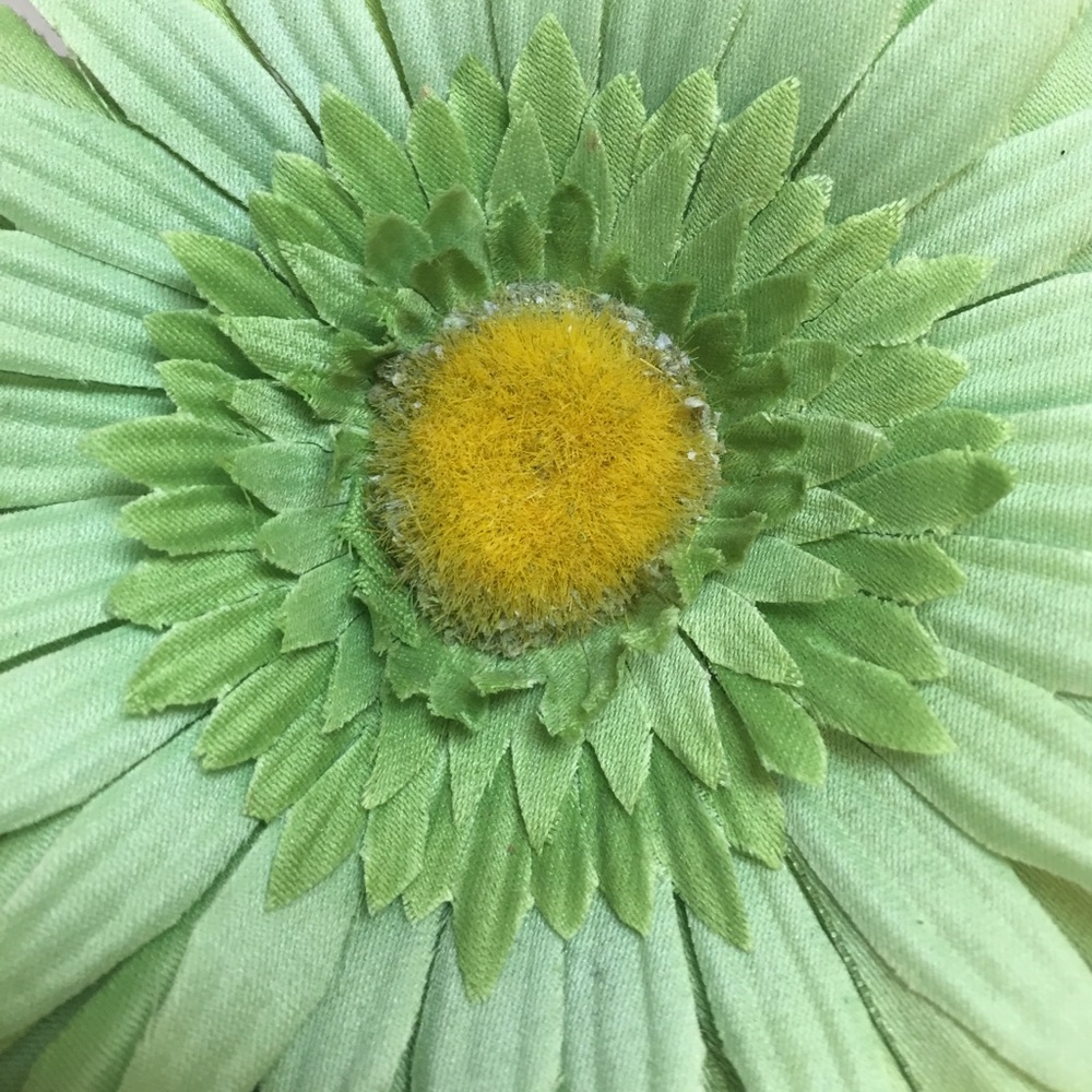 Meet your Posher, Giselle