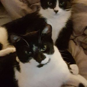 Meet your Posher, Cynthia