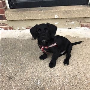 Meet your Posher, Ebony