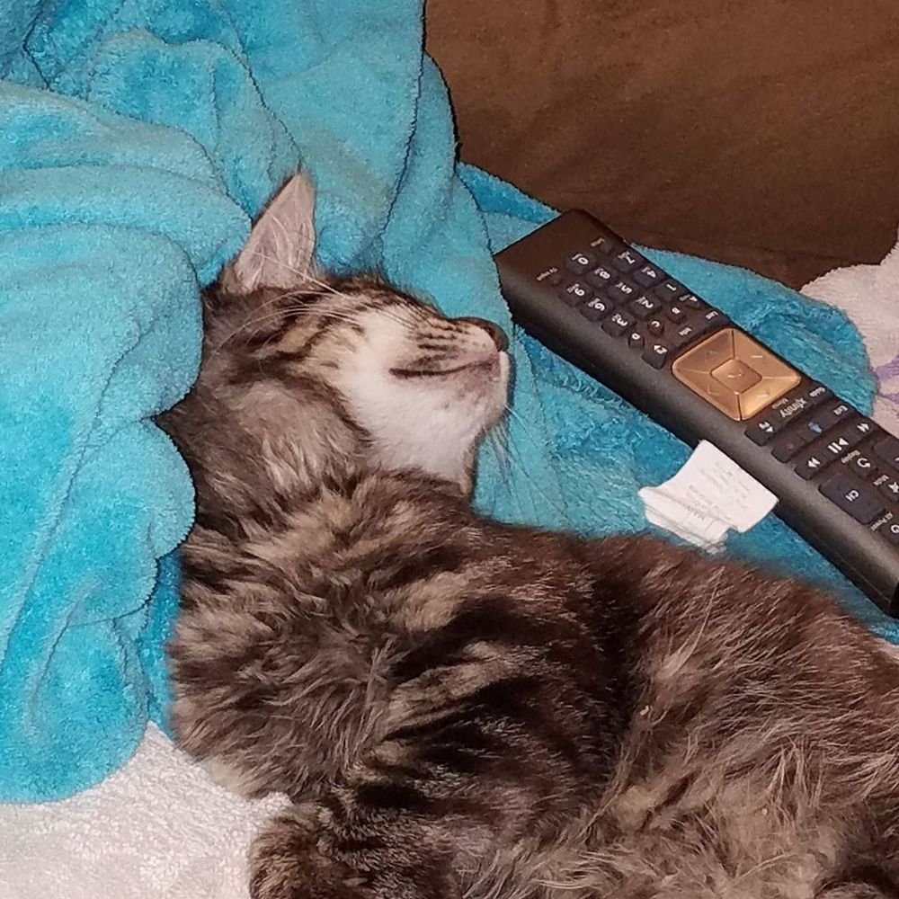 Shoes and good quality clothing