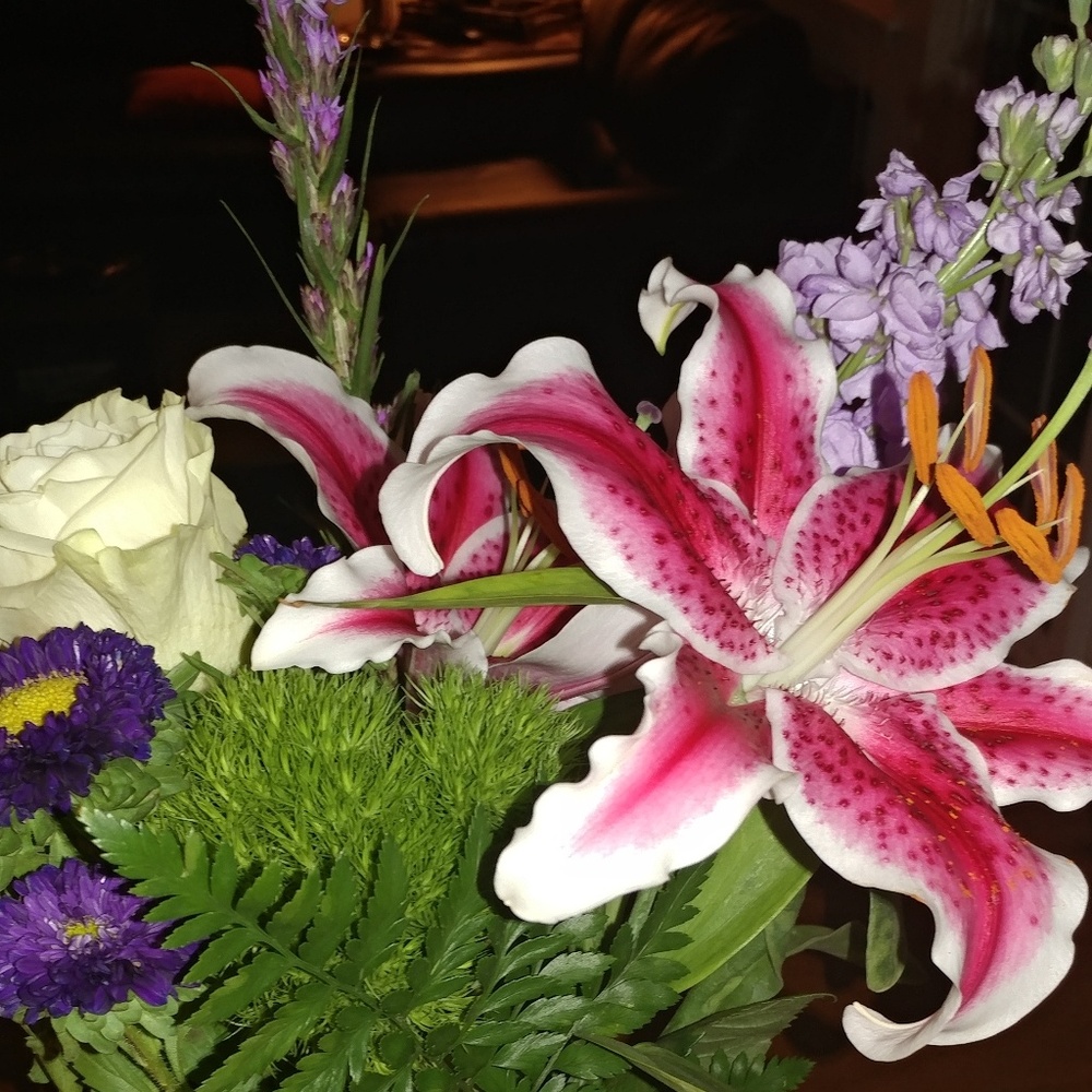 Meet your Posher, Angela