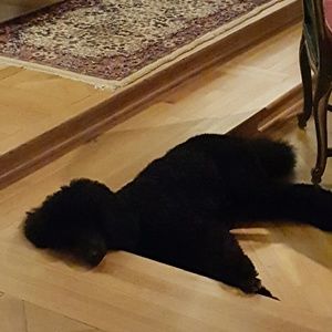 Meet your Posher, Catherine