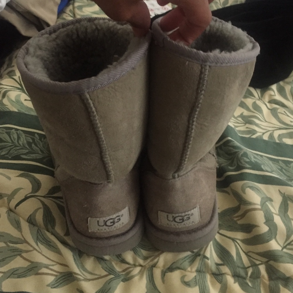 Grayish Uggs