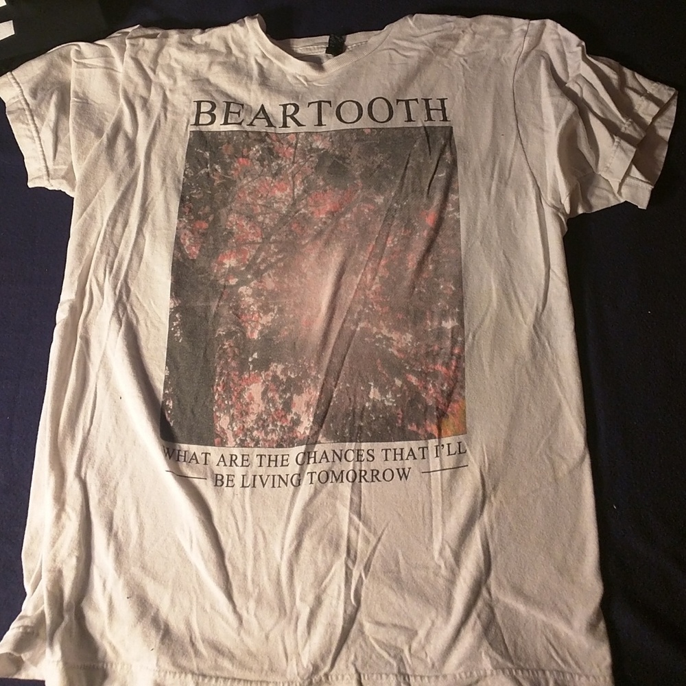 Cherry blossom beartooth tee