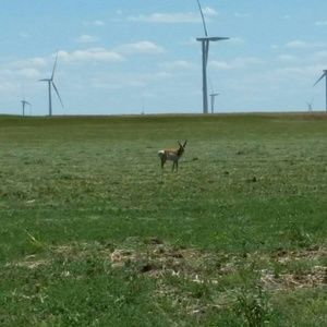 Meet your Posher, Sherry