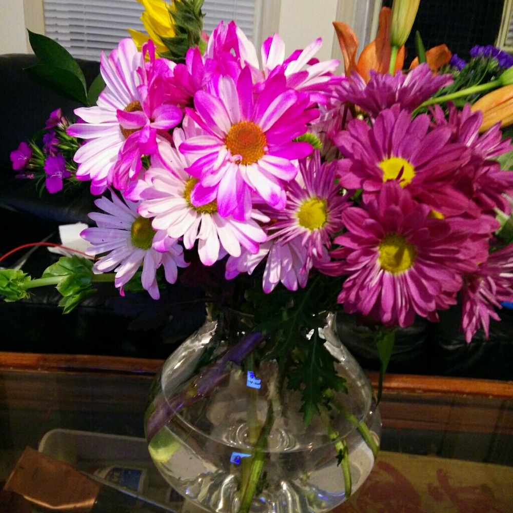 Meet your Posher, May