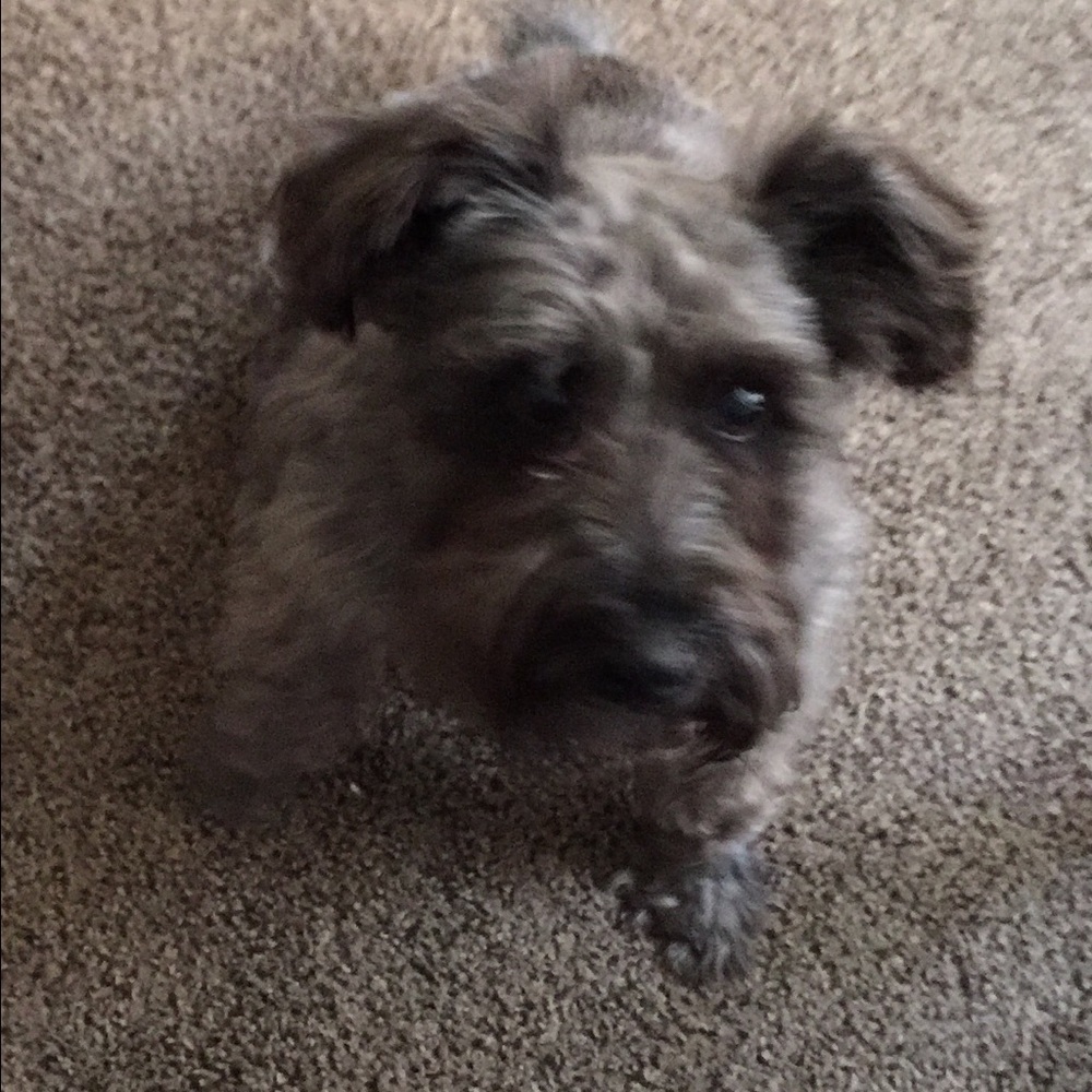 Meet your Posher, Kyrey