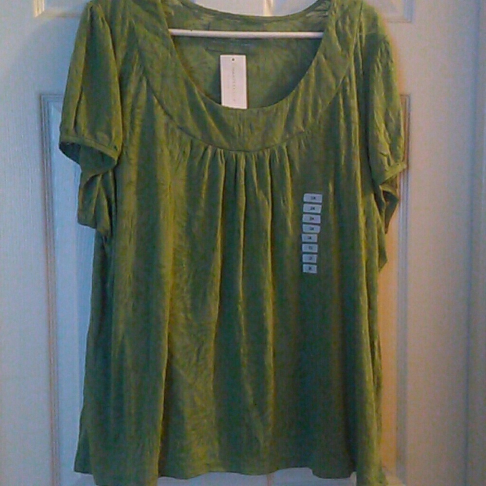 Charter Club woman olive green top