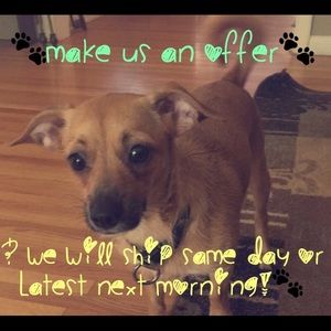 Fastest Shippers Around!!! No Bones About It!