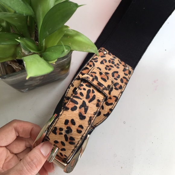 Belt - Picture 2 of 3