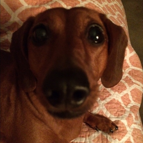 I live in a smoke free environment. - Picture 1 of 1