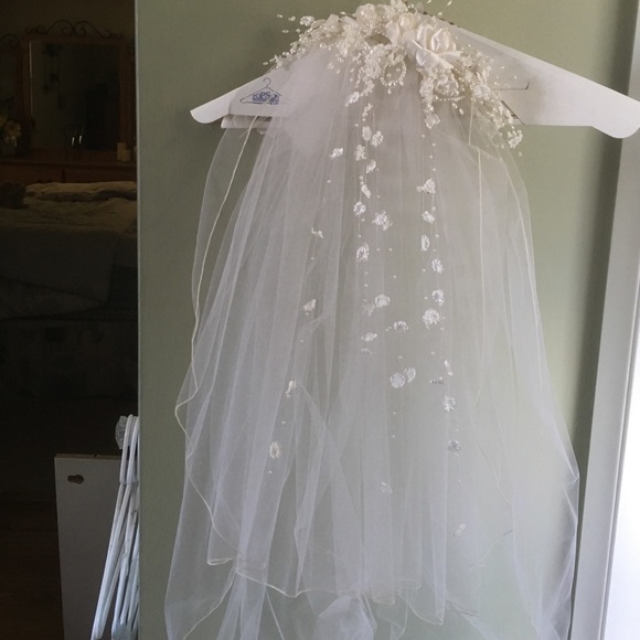 Veil - Picture 2 of 6