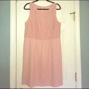 NWOT Loft Dress in Beautiful Blush Color