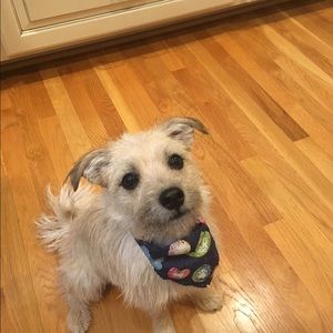 Meet your Posher, Veda