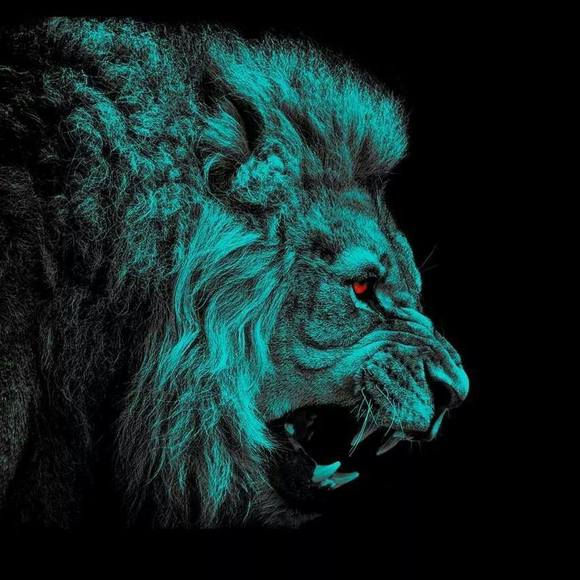 Meet your Posher, Matthew - Picture 1 of 1