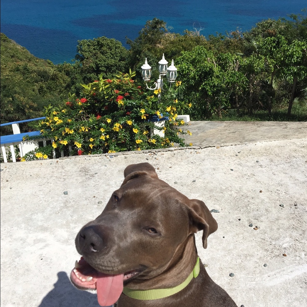 Meet your Posher, Maritza