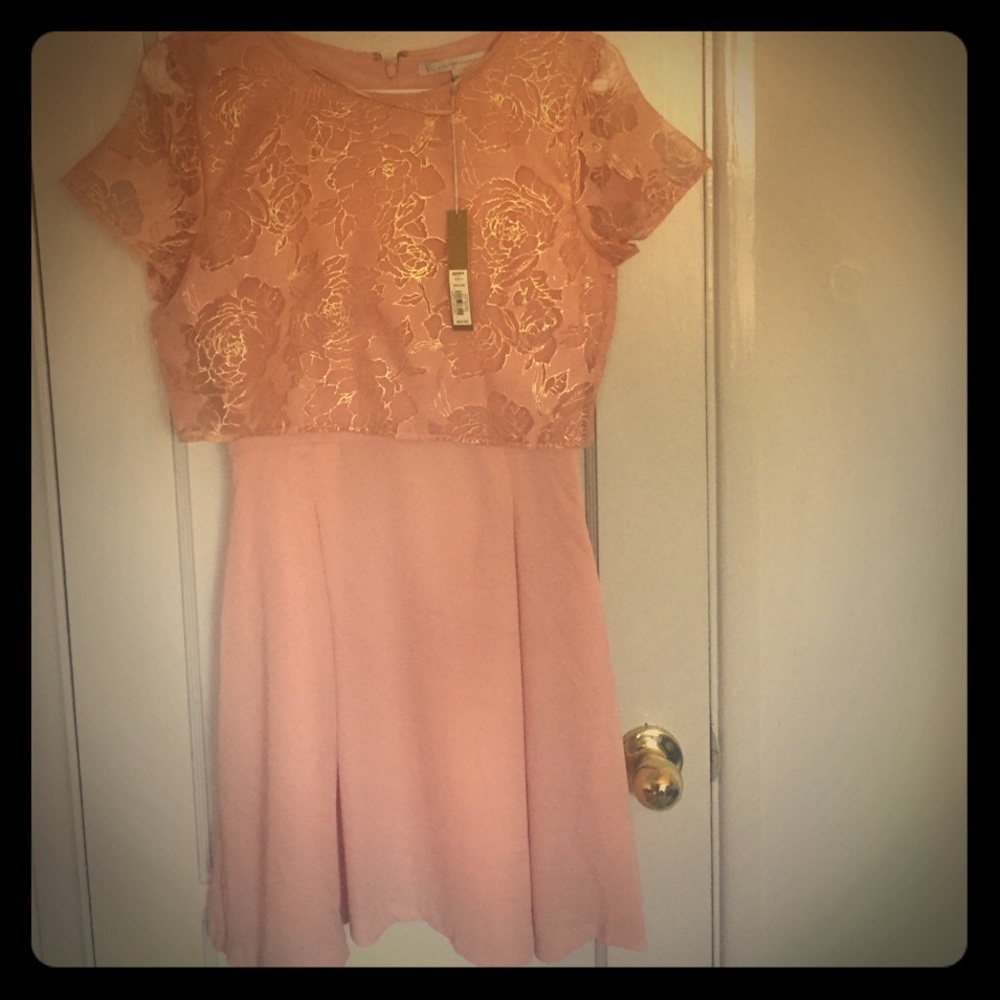 Pink Dress by Lauren Conrad