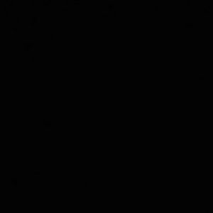 Meet your Posher, Turner