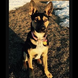 Meet your Posher, Tom