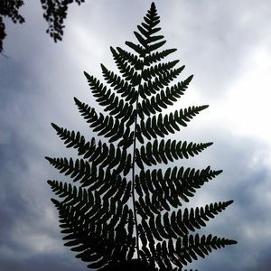 Meet your Posher, Noemi