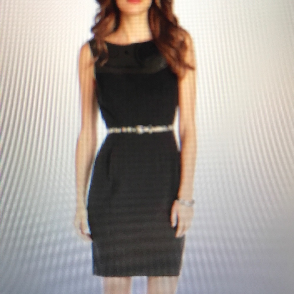 Vince Camuto Woven Shift Dress with Leopard Belt