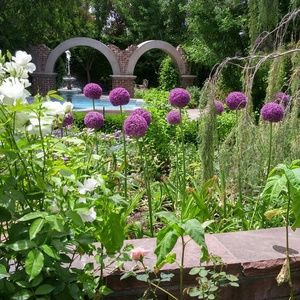 Meet your Posher, Janice