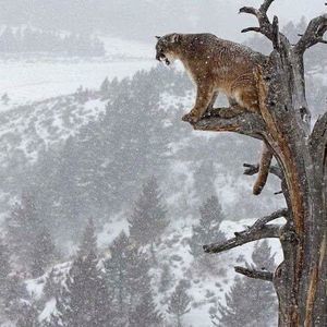 Meet your Posher, Sally