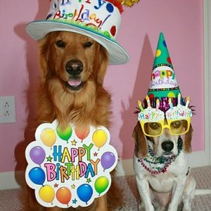 Meet your Posher, Veronica