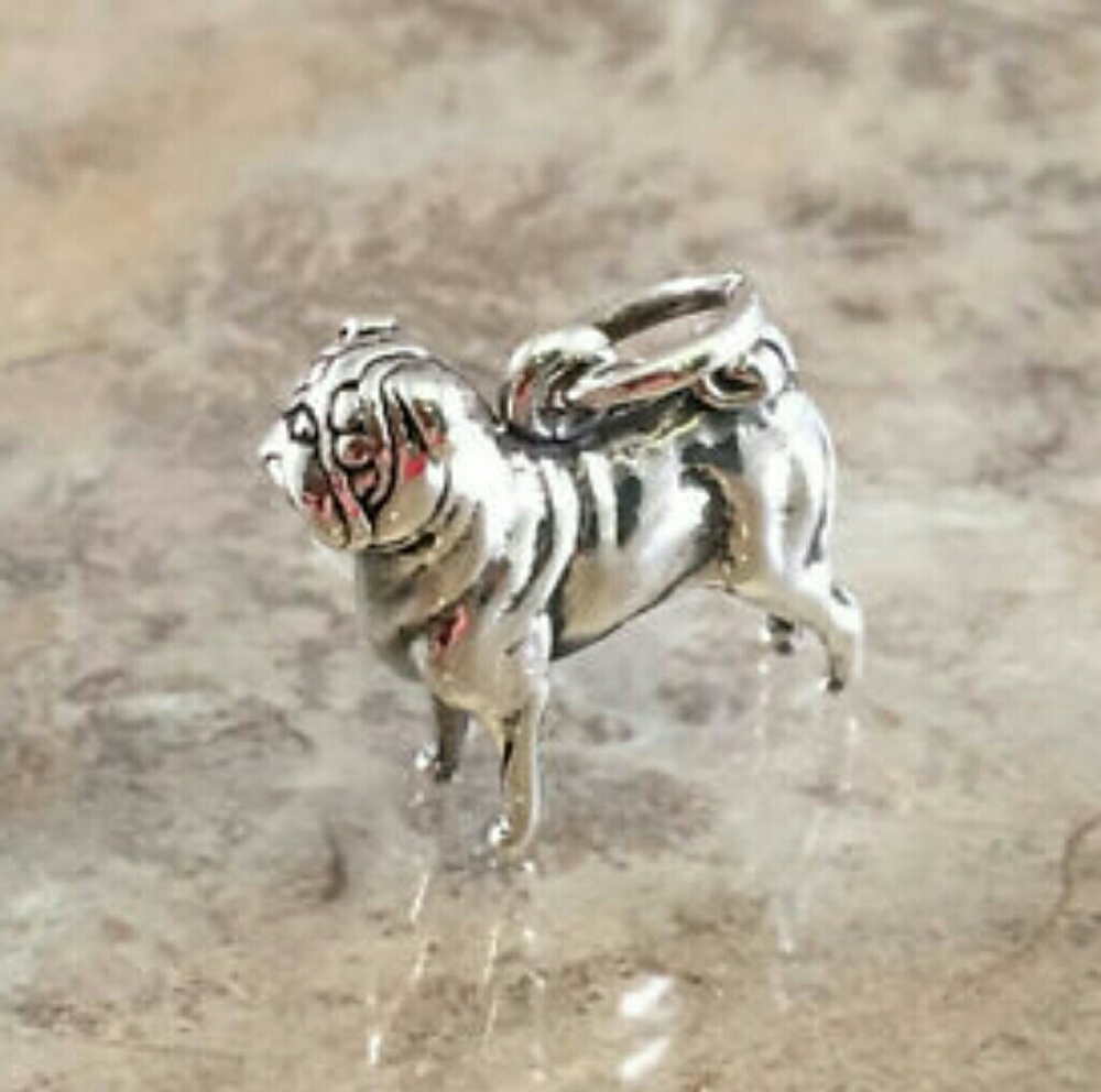 ISO Pug Charm