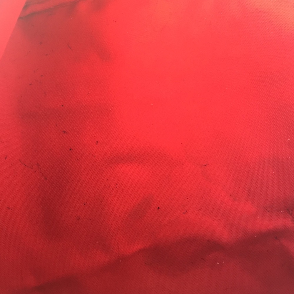 Additional pics of speedy