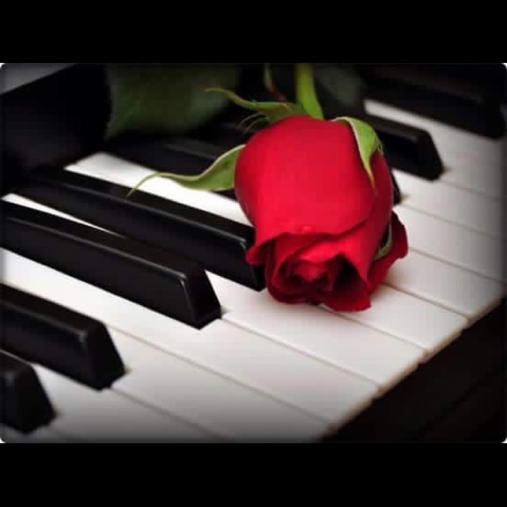 Meet your Posher, Yalkiri