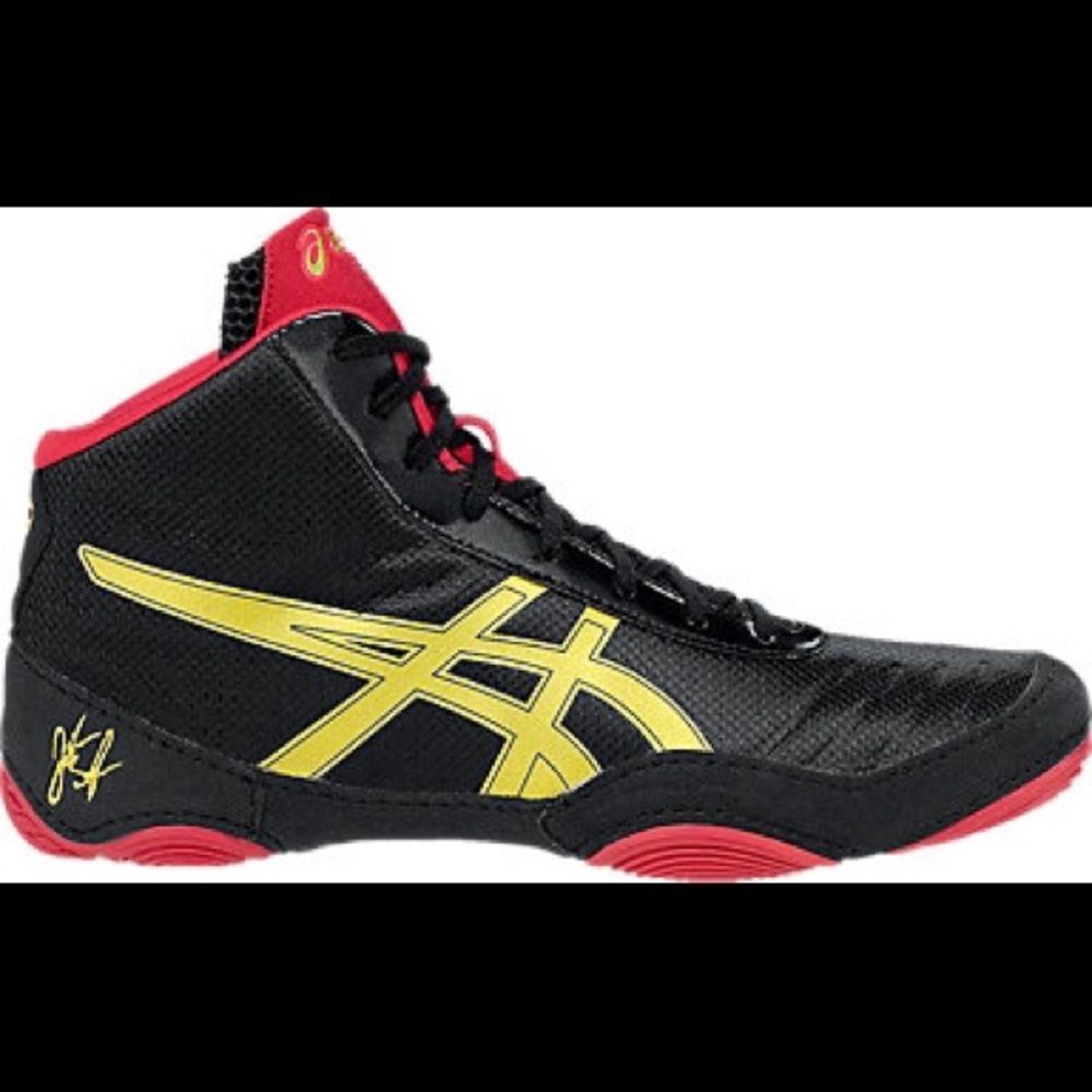 NWT WRESTLING SHOES